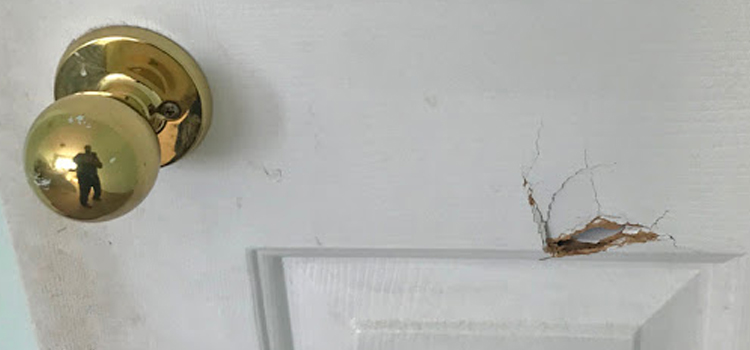 interior door hole repair Apple Valley